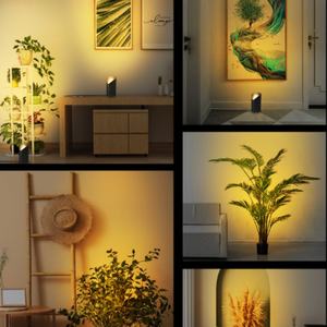 Nouvelle Lampe d'Accent 2025 avec Interrupteur au Sol pour Décoration Végétale, Projecteur d'Intérieur pour Œuvres d'Art et Tableaux - Product Image 2