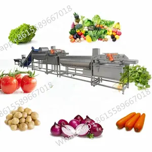 High efficiency vegetable washing and drying production line