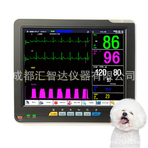 Monitor de ECG Portátil para Animales Huizhida de 12 Pulgadas, Monitor Multiparamétrico para Mascotas DJ 12N, Uso Veterinario - Product Image 4