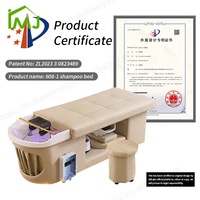 Table de Lavage pour Tête, Lit de Shampoing de Salon de Beauté Professionnel avec LED Intégrée et Massage Spa d'Usine