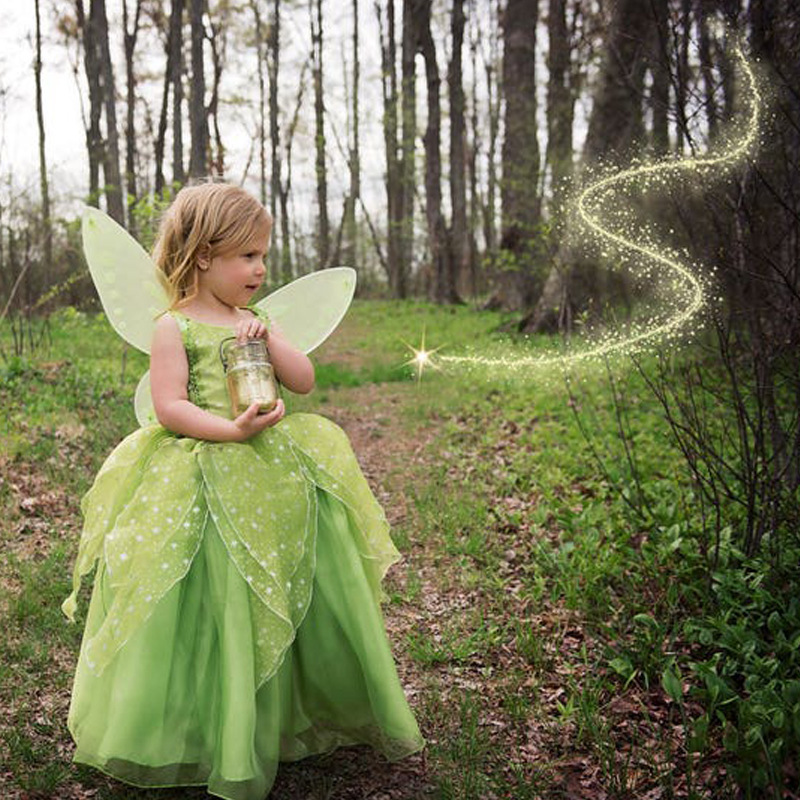 Tinkerbell Dress with Flower Fairy Wings - Kids Princess Costume