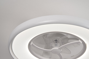 Wholesale <b>Ceiling</b> Fan with <b>Light</b> Manufacturers Bulk Order Supply for Residential and Commercial Ventilation Projects - Product Image 6