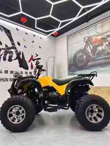 Квадроцикл LNA с увеличенной максимальной скоростью, 250 куб. см, 2WD, автоматическая коробка передач, цепной привод, для взрослых - Product Image 5