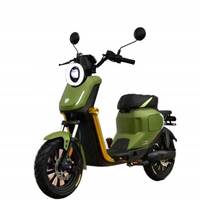 Scooter électrique, moto 500W/1000W, 60 km/h, moteur à moyeu arrière haute vitesse, 3 vitesses, cadre en acier, roue de 14 pouces, batterie au plomb-acide 20AH