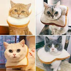Pet Elizabeth Collar For <b>Cats</b> Anti-Lick Bite After Surgery Cute Neck <b>Ring</b> Dog Soft Recovery Cone Wholesale - Product Image 5