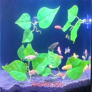 Decoración de Acuario, soportes de ventosa, Guppy, descanso, simulación de desove, hojas de eucalipto, dinero, hojas, <span class=keywords><strong>plantas</strong></span> verdes decorativas - Product Image 5