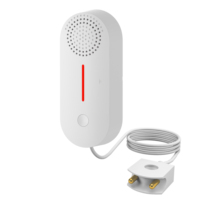 Détecteur de fuite d'eau WiFi Tuya à très faible consommation, 2 piles AAA, longue autonomie, détecteur intelligent de fuite d'eau
