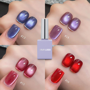 Mật độ cao 12 màu sắc Men Mèo Mắt Gel đánh bóng Bộ sưu tập đèn <span class=keywords><strong>flash</strong></span> bột mèo mắt gel sơn móng tay ODM tùy chỉnh thương hiệu riêng - Product Image 6