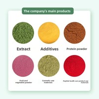 Extrait de menthe soluble dans l'eau, poudre de menthe à 95 % de pureté, réactifs généraux, provenant du fabricant Hansuyuan Shaanxi Chine ; Stock disponible