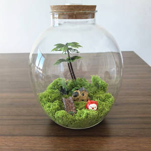 Jarrón <span class=keywords><strong>de</strong></span> Vidrio <span class=keywords><strong>de</strong></span> Diseño Único, Exhibición <span class=keywords><strong>de</strong></span> Plantas Aéreas <span class=keywords><strong>de</strong></span> <span class=keywords><strong>Mesa</strong></span>, Terrario <span class=keywords><strong>de</strong></span> Vidrio con Tapa <span class=keywords><strong>de</strong></span> <span class=keywords><strong>Corcho</strong></span> <span class=keywords><strong>para</strong></span> Decoración del Hogar - Product Image 2