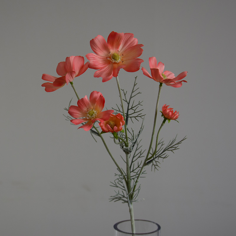 Corail