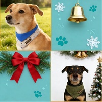 Bandana réglable de luxe de haute qualité pour animaux de compagnie, avec impression personnalisée, logo sur mesure, bavoirs pour chats, foulards pour chiens, accessoires pour le cou