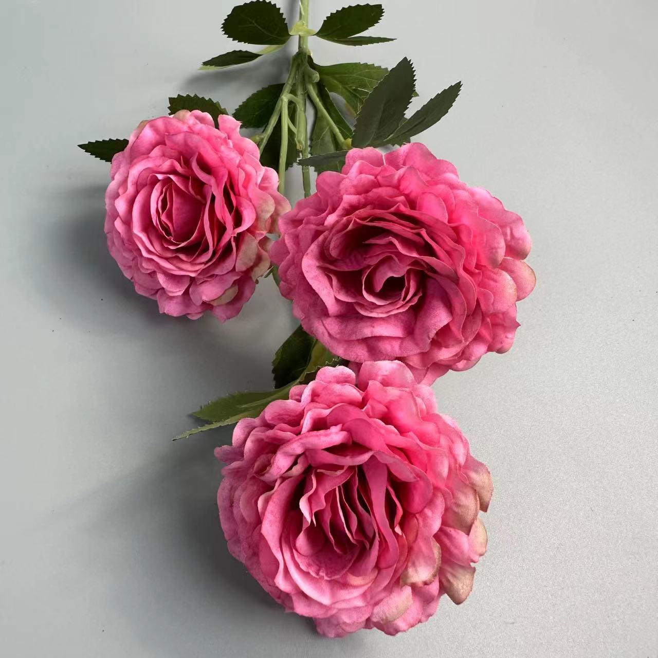 Rose pâle rouge