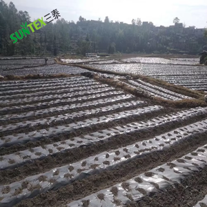 Film de paillage agricole noir <span class=keywords><strong>argent</strong></span>é <span class=keywords><strong>en</strong></span> plastique, couverture du sol, hydratant et anti-insectes, LDPE avec film de paillage UV - Product Image 6