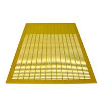 Neuer Witbee Königinnen-Absperrgitter aus gelbem Kunststoff für 10-Rahmen-Langstroth-Bienenstock (Modell QE-5) Imkerei-Ausrüstung 51x41cm