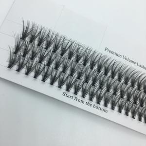 <span class=keywords><strong>ราคา</strong></span>โรงงานความร้อนผูกมัด20D คลัสเตอร์ขนตา0.10มิลลิเมตรรัสเซีย Pre <span class=keywords><strong>Made</strong></span> พัดลมปริมาณขนตา - Product Image 2