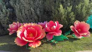 2025 Trung Quốc giấy lụa đèn lồng cho lễ hội Giáng sinh hoa đèn lồng và năm mới Nhà cung cấp của Trung Quốc Đèn lồng hiển thị - Product Image 4