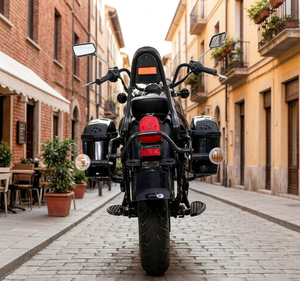 <span class=keywords><strong>Storm</strong></span> Prince - Popolare in Asia. Logo Personalizzabile per Batterie al Litio. Motocicletta Elettrica. - Product Image 3