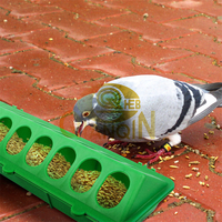 Mangeoire automatique pour oiseaux Qianqin à 28 trous en plastique durable, 50 cm de long, pour pigeons, poussins, cailles, 0,32 USD/pièce