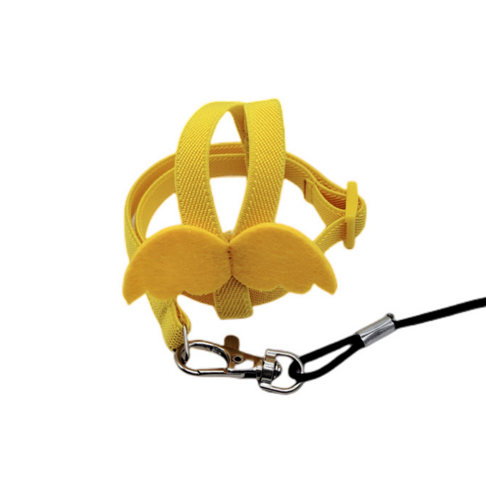 Giallo