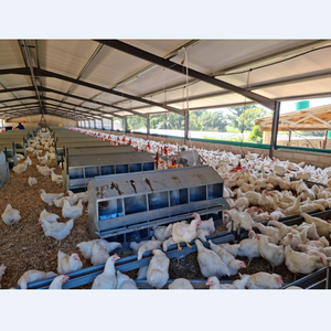 Kim Loại Trang Trại Gà Bền Gia Cầm Trang Trại Gà Trứng Lớp Gà Thịt Gà Nhà - Product Image 6