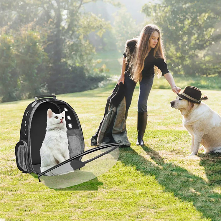 Travel Outdoor Tragbare transparente Kapsel Erweiterbare Blase Atmungsaktive Umhängetasche Pet Carrier Cat Rucksack für Katzen