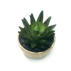 <span class=keywords><strong>Echeveria</strong></span> Artificial en Maceta de Pulpa de Papel con Piedras Negras, Suculenta Artificial Realista para Decoración del Hogar u Oficina - Product Image 4