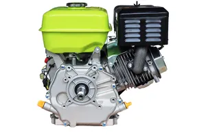 EFPOWER 15Hp Electric Start Gasoline Engine Spare Part Gas