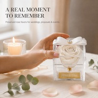 Rose éternelle en gros dans une boîte en verre, rose véritable longue durée, cadeau pour la Saint-Valentin, couleurs personnalisées