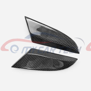 GUARDABARROS DE FIBRA DE CARBONO Para <span class=keywords><strong>Skyline</strong></span> <span class=keywords><strong>35</strong></span> - Product Image 3