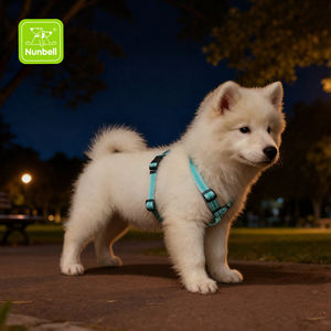 Nunbell Fornecedor Simples Reflexivo H-Shaped Segurança Strap Nylon Step-in Buckle Encerramento Arnês Do Cão para Pequenos Animais Proteção - Product Image 1