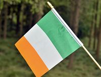 Expédition rapide, nouveau drapeau irlandais miniature en bois, à double face, à tenir à la main, pour les défilés sportifs, les fêtes, les festivals, les décorations