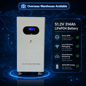51.2V 314Ah 16kWh LFP Solar <b>Backup</b> <b>Battery</b> CAN RS485 Communication BMS Mobile Cabinet Poland Warehouse - Product Image 1