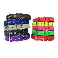 Collier pour chien en plastique robuste, vente directe usine, motif LOGO personnalisé, pour chiens de petite, moyenne et grande taille, pour la promenade et la chasse
