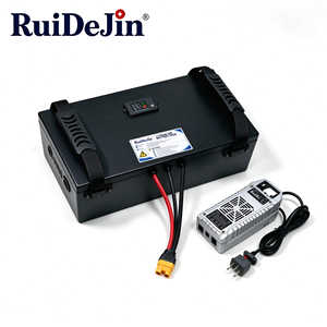 Paquete de Baterías de Litio LiFePO4 de 48V 100Ah Personalizado y Ligero para Operaciones en Exteriores, UGV Plug and Play, 6000 Ciclos, BMS Integrado - Product Image 5