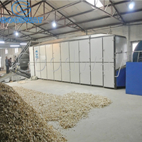Ligne de production de chips de manioc séchées, machine à couper et à écailler le manioc