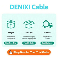Câble Ethernet intérieur blindé DENIXI Solid CCA CAT6 FTP/SFTP 305m/500m 24/25 AWG 8 conducteurs prenant en charge le PoE 10G pour la maison