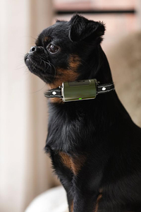 Collier de dressage de <span class=keywords><strong>chien</strong></span> à distance avec écran couleur Correcteur de comportement pour animaux de compagnie en plastique durable et en nylon - Product Image 3