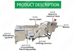 เครื่องซักผ้าผักคะน้าอัตโนมัติสำหรับผักตระกูลกะหล่ำ - Product Image 5