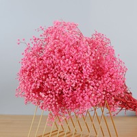 Dekorative Pflanze Baby Breath Konservierte Gypsophila-Blumen für Zuhause Muttertag Abschlussfeier Weihnachten Valentinstag