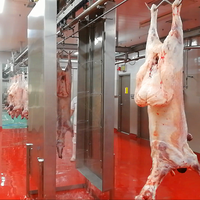 Chaîne d'abattage pour boîtier de mouton, équipement d'abattoir à chèvre, livraison gratuite