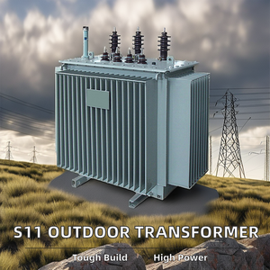 שמן חיצוני-s11 כוח שנאי 11kv 33kv 50kva 100kva 200kva 300kva 220v/380v תלת פאזי שנאי - Product Image 3