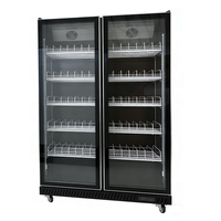 Réfrigérateur commercial à double porte vitrée pour boissons, vitrine réfrigérée, économie d'énergie, refroidisseur de boissons pour bar, restaurant, commerce de détail