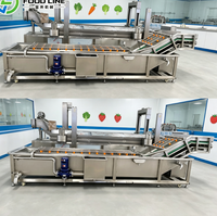 Commerciële standaard voor bubbelwasmachines voor de fruit- en groenteafdeling van supermarkten