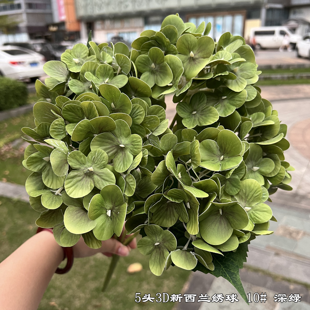 5 têtes 3d nouvelle-zélande hortensia vert foncé