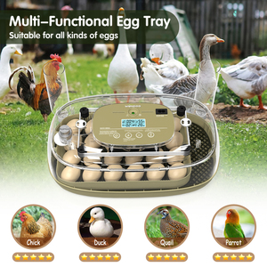 WONEGG Mini incubateur de canard intelligent entièrement automatique et rentable DLM 24 moteur de tournage d'oeufs - Product Image 6