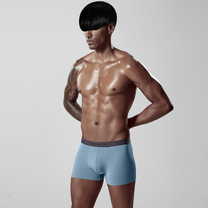 Popular caliente hombres boxeadores y ropa interior bragas Gay ropa interior de los hombres pene <span class=keywords><strong>foto</strong></span> - Product Image 5