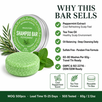Champú Sólido Natural con Extracto de Menta, Aceite de Coco y Aceite de Árbol de Té, Equilibra la Grasa del Cabello, Fortalece el Cabello, OEM, ODM, Marca Privada