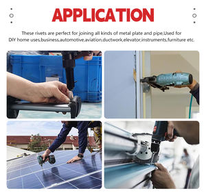 مسامير برشام ألومنيوم (عمياء) من المصنع، مسدس برشام تمديد 1/8 × 1/2 بوصة، برشام مقبب مطلي بكميات كبيرة للاستخدام الصناعي - Product Image 5