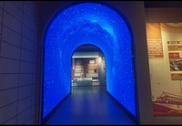 Écran LED flexible couleur personnalisé en forme spéciale Mur vidéo créatif pour mur de télévision et utilisation intérieure/extérieure